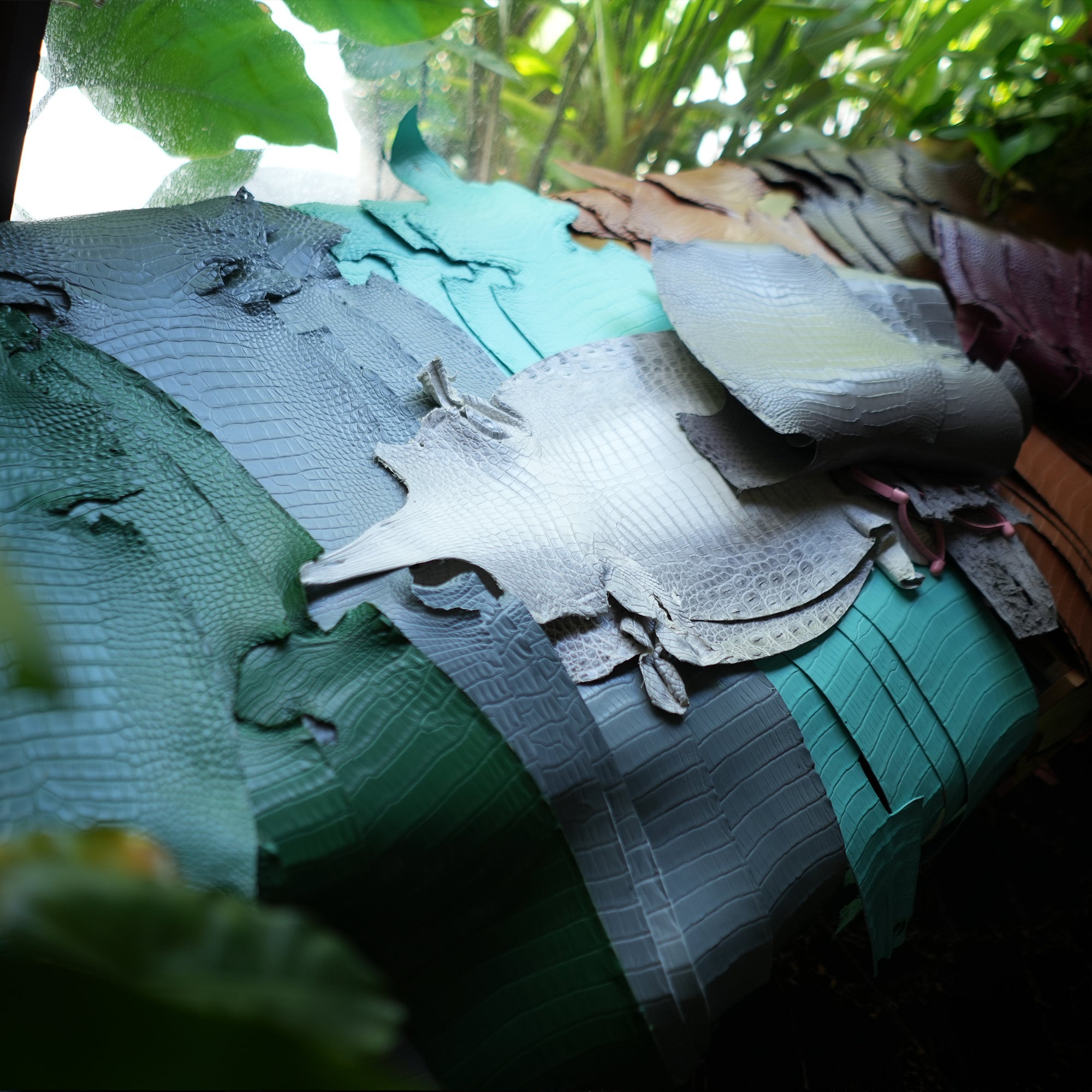 Alligator Leather Walllet