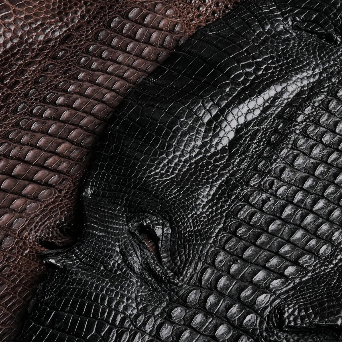 Double Hornback Alligator Leather Wallet