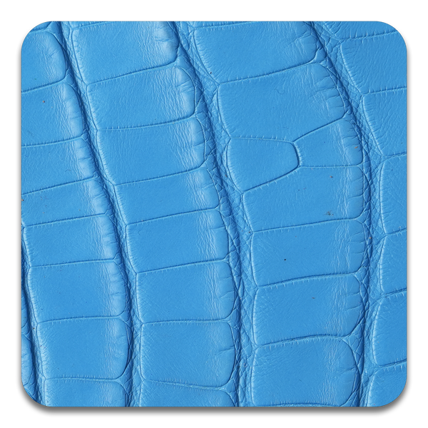 Miami Blue